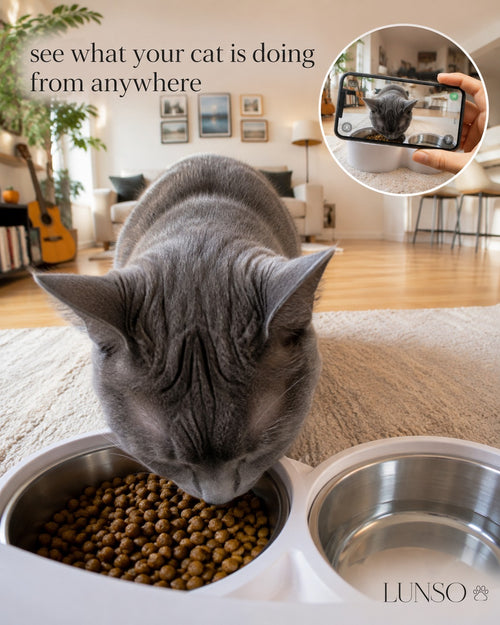 LUNSO presents - LunsoFeeder™  5L Smart Camera Feeder