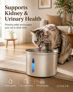 LunsoFountain™ Automatic Water Fountain